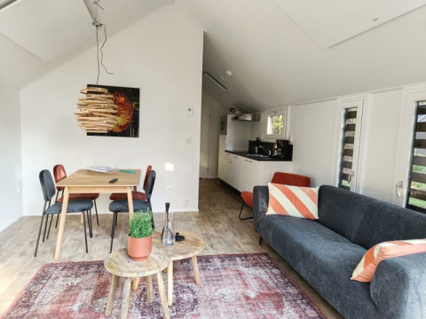 Interno di un lodge moderno e luminoso con tavolo da pranzo, cucina, divano e cuscini decorativi su pavimento in legno.