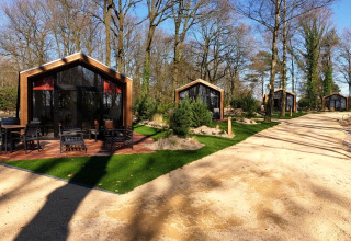 Photo de lodges modernes en bois alignés le long d’un sentier sablonneux, entourés d’arbres et de verdure.