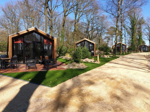 Afbeelding van moderne houten lodges naast een zandpad, omgeven door bomen en groen in een lodgepark.