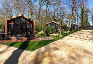 Photo de lodges modernes en bois alignés le long d’un sentier sablonneux, entourés d’arbres et de verdure.