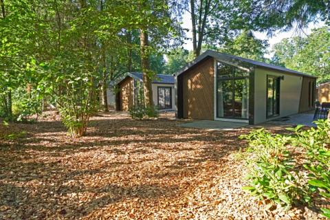 Moderne Lodge im ruhigen Wald mit großen Fenstern, natürlichem Licht und von vielen Bäumen umgeben.