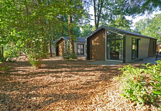 Moderne Lodge im ruhigen Wald mit großen Fenstern, natürlichem Licht und von vielen Bäumen umgeben.