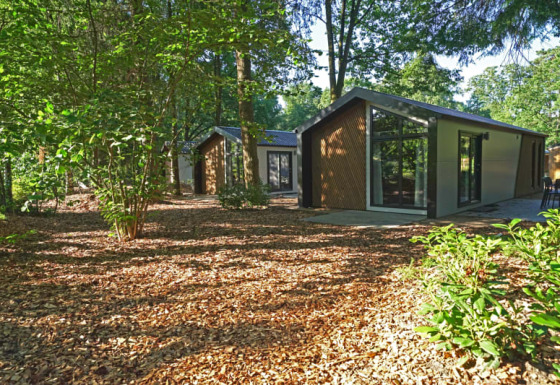 Lodge moderno en un entorno boscoso tranquilo, rodeado de árboles altos y vegetación abundante.