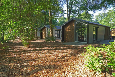 Lodge moderno en un entorno boscoso tranquilo, rodeado de árboles altos y vegetación abundante.