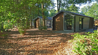 Lodge moderno en un entorno boscoso tranquilo, rodeado de árboles altos y vegetación abundante.