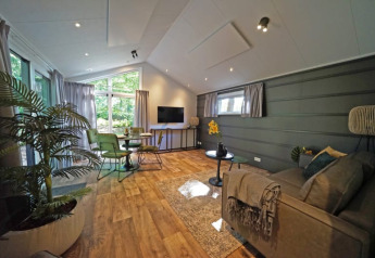 Salon moderne de lodge avec chaises vertes, grande fenêtre, parquet, canapé et plantes d'intérieur.
