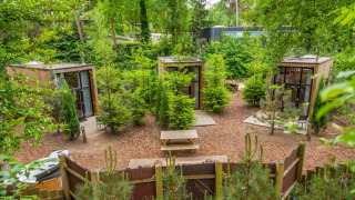 Photo de trois petites maisons au cœur de la forêt, entourées d’arbres, avec un banc commun au centre.