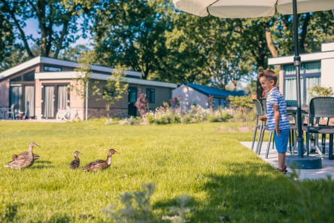 Niños en el alojamiento - EuroParcs Kaatsheuvel - Kaatsheuvel, Brabante Septentrional, Países Bajos