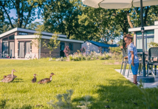 Een jongen kijkt naar eenden op het gras bij een modern vakantiepark met glamping accommodaties en bomen.