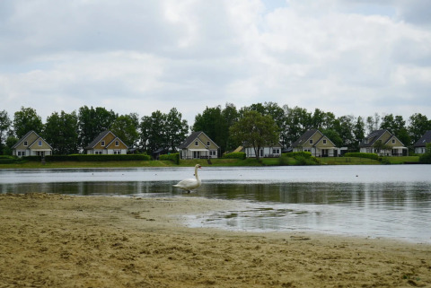 Schwimmteich - EuroParcs Limburg - Susteren, Limburg, Niederlande