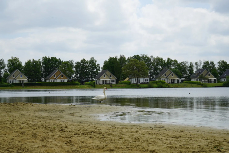 Zwemvijver - EuroParcs Limburg - Susteren, Limburg, Nederland