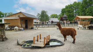 Dierenweide - EuroParcs Limburg - Susteren, Limburg, Nederland
