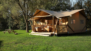 Glamping tent La Vida op Resort de Parel in Nederland, tussen veel groen gras en grote bomen.
