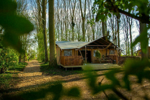 Tienda safari en Buitengoed Ruysbos, Países Bajos, rodeada de árboles y sendero natural, perfecta para glamping.