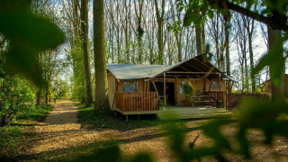 Tienda safari en Buitengoed Ruysbos, Países Bajos, rodeada de árboles y sendero natural, perfecta para glamping.