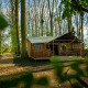 Safari-telt ved Buitengoed Ruysbos i Holland, omgivet af træer og en natursti, perfekt til glamping.