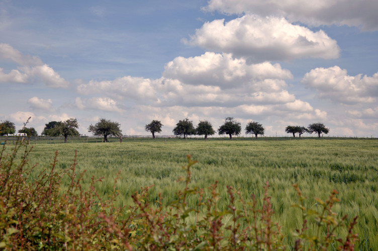 Omgeving camping - Camping La Dolce Vita - Vodatent - Ransdal, Limburg, Nederland