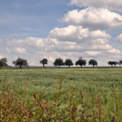 Surroundings camping - Camping La Dolce Vita - Vodatent - Ransdal, Limburg, Netherlands