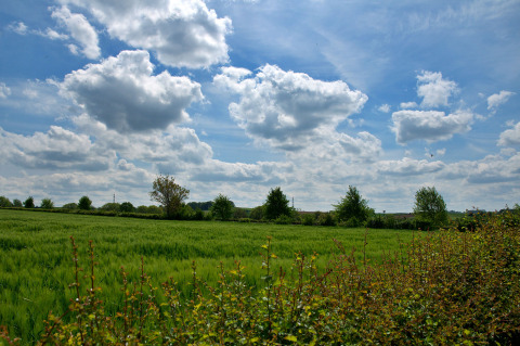 Grüne Umgebung - Camping La Dolce Vita - Vodatent - Ransdal, Limburg, Niederlande