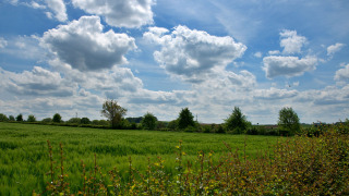 Groene omgeving - Camping La Dolce Vita - Vodatent - Ransdal, Limburg, Nederland