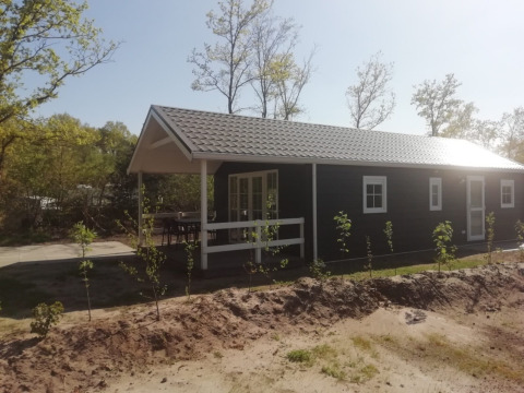 Forest lodge avec façade sombre, bordures blanches, un porche couvert et de jeunes arbres environnants.