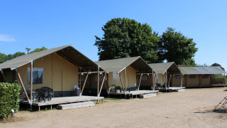 Safaritenten aan het recreatiepark en de jachthaven Rhederlaagse Meren in Nederland onder blauwe lucht.