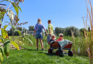 Family glamping at a holiday park, parents pulling kids in a wagon surrounded by sunny green nature.