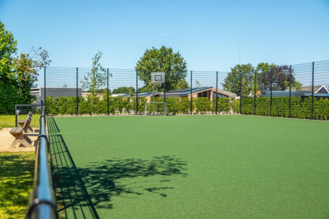 Campo deportivo multiusos con canasta de baloncesto en parque vacacional, rodeado de cabañas y vegetación.