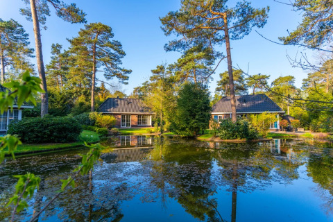 Vakantiepark met glamping-accommodaties, omgeven door hoge pijnbomen en een rustige vijver onder blauwe lucht.