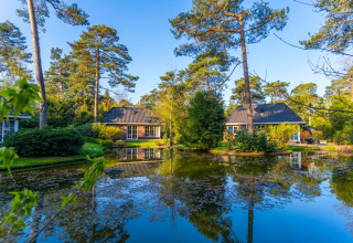 Vakantiepark met glamping-accommodaties, omgeven door hoge pijnbomen en een rustige vijver onder blauwe lucht.