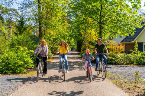 Eine fröhliche Familie fährt gemeinsam an einem sonnigen Tag in einem grünen Ferienpark Fahrrad.