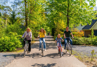 Een gezin fietst blij samen door een vakantiepark met veel groen en glamping-accommodaties op een zonnige dag.