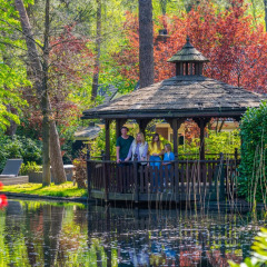 Gezin geniet van hun tijd in een prieel aan een vijver, omgeven door bomen in een glamping vakantiepark.