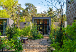 Cabanes de glamping modernes dans un parc de vacances verdoyant, entourées d’arbres et de nature luxuriante.