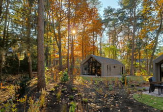 Moderne glampinghut in een vakantiepark, omringd door herfstbossen en het zonlicht.