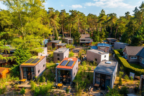 Aerial view of a holiday park with glamping cabins surrounded by lush green trees and natural paths.