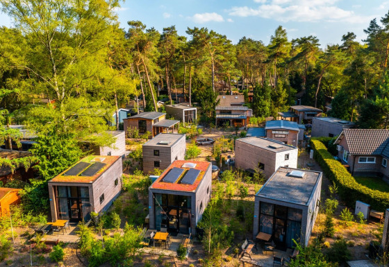 Luchtfoto van een vakantiepark met glampingaccommodaties omringd door bomen en natuurlijke paden.