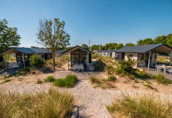 Et foto af moderne lodges omgivet af strandgræs og buske under en klar blå himmel på en solrig dag.