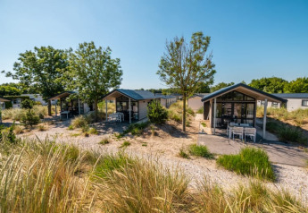 Espace de lodge lumineux avec cabanes modernes, arbres et herbes sous un ciel d’été bleu et dégagé.