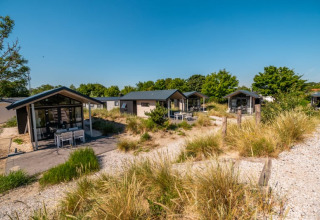 Modern lodges set among sandy paths and bushes under a clear blue sky, perfect for a peaceful vacation.