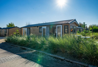 Journée ensoleillée dans un lodge moderne avec herbes hautes et sentier pavé, parfait pour se détendre.