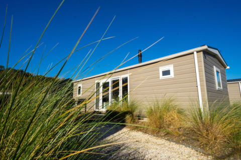 Eine moderne Ferienlodge mit großen Fenstern, umgeben von hohen Gräsern unter klarem Himmel.