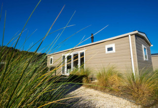 A modern lodge with large windows surrounded by tall grasses, set beneath a clear blue sky.
