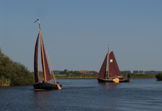 Two sailboats with dark red sails cruise a calm river near Loënga, Friesland, Netherlands under blue sky.