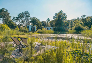 Vakantiepark met glamping aan vijver, omgeven door groen en bomen, ligstoelen op steiger in zonnige setting.