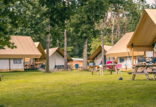 Foto eines Ferienparks mit Glampingzelten im Grünen, ideal für einen entspannten Urlaub im Freien.