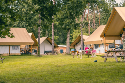 Foto van een vakantiepark met glamping tenten in een groene omgeving, ideaal voor een ontspannen verblijf.