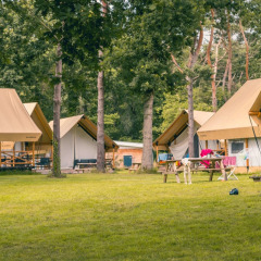 Foto de un parque vacacional con alojamientos de glamping en plena naturaleza, ideal para unas vacaciones relajantes.