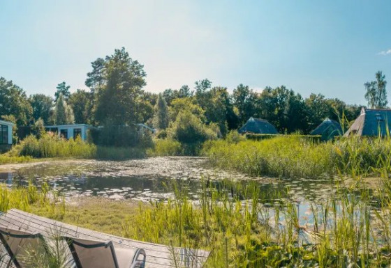 Panoramisch beeld van glampinghuisjes aan een vijver in een vakantiepark, omgeven door veel groen.