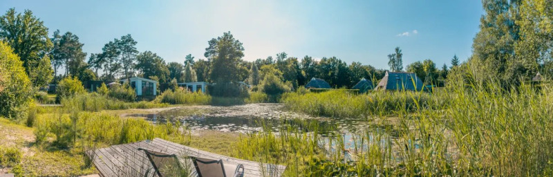 Panoramic view of glamping cabins by a pond in a holiday park, surrounded by lush trees and greenery.